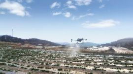 慶城縣：搶抓病蟲害防治窗口期 無人機飛防護航冬油菜豐產(chǎn)