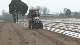 【春耕備耕忙 播種新希望】合水縣段家集鄉(xiāng)：搶抓農(nóng)時奏響春耕生產(chǎn)曲