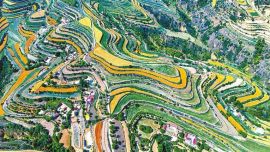 “一鍵申報”織密防止返貧致貧安全網(wǎng)?—— “千里眼”解急難