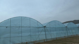 【春耕備耕忙 播種新希望】合水縣吉峴鎮(zhèn)：春耕覆膜搶農時 春管提質促增收