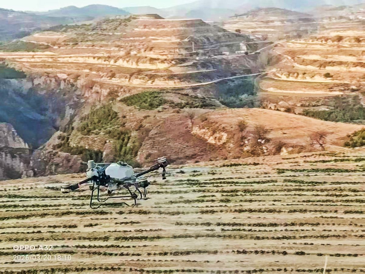 庆城：油菜无人机飞防 助力油菜稳产增收