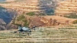 庆城：油菜无人机飞防 助力油菜稳产增收