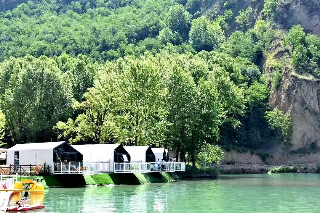 向&ldquo;新&rdquo;而生 向&ldquo;兴&rdquo;而行&mdash;&mdash;镇原文化&ldquo;出彩&rdquo;&ldquo;出圈&rdquo;又&ldquo;出海&rdquo;