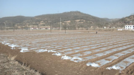 合水：搶抓農(nóng)事忙春耕 穩(wěn)糧增收促振興