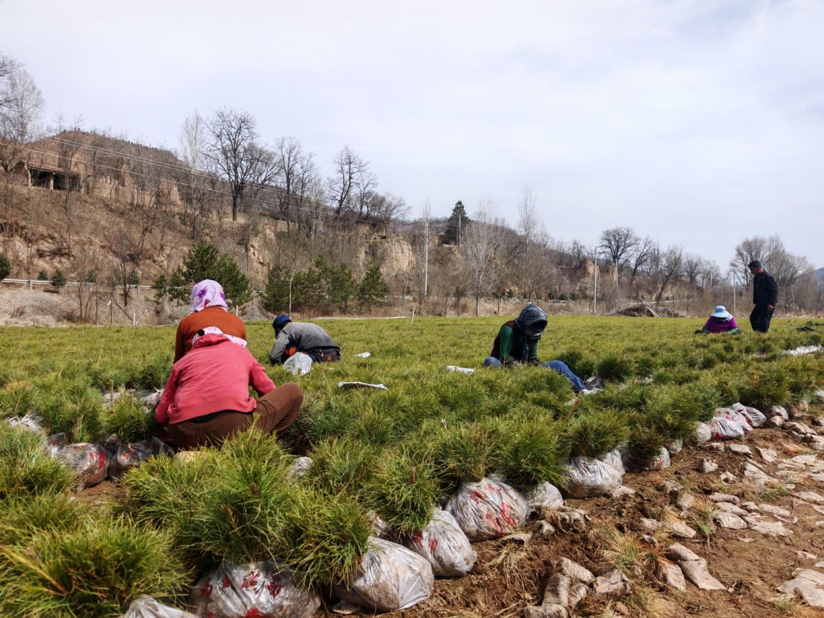 微信图片_20260326110434_230_31