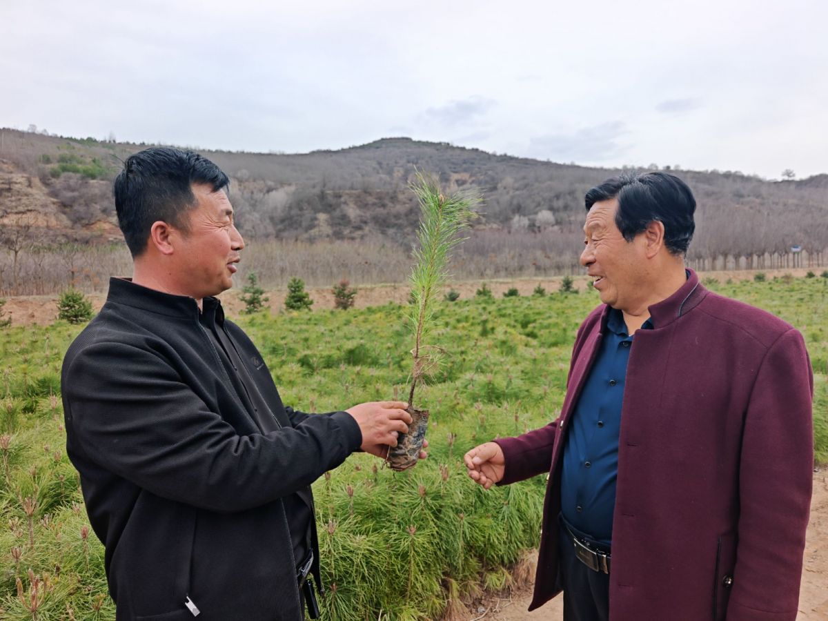 微信图片_20260326110445_235_31