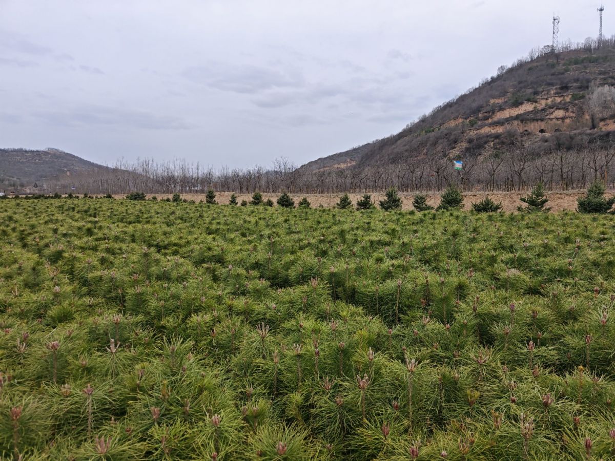 微信图片_20260326110451_237_31