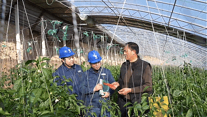 国网庆阳供电公司：电润陇东田 春耕致增收