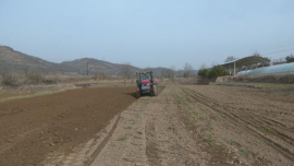 合水縣吉峴鎮(zhèn)：千畝馬鈴薯基地奏響春耕“進行曲”