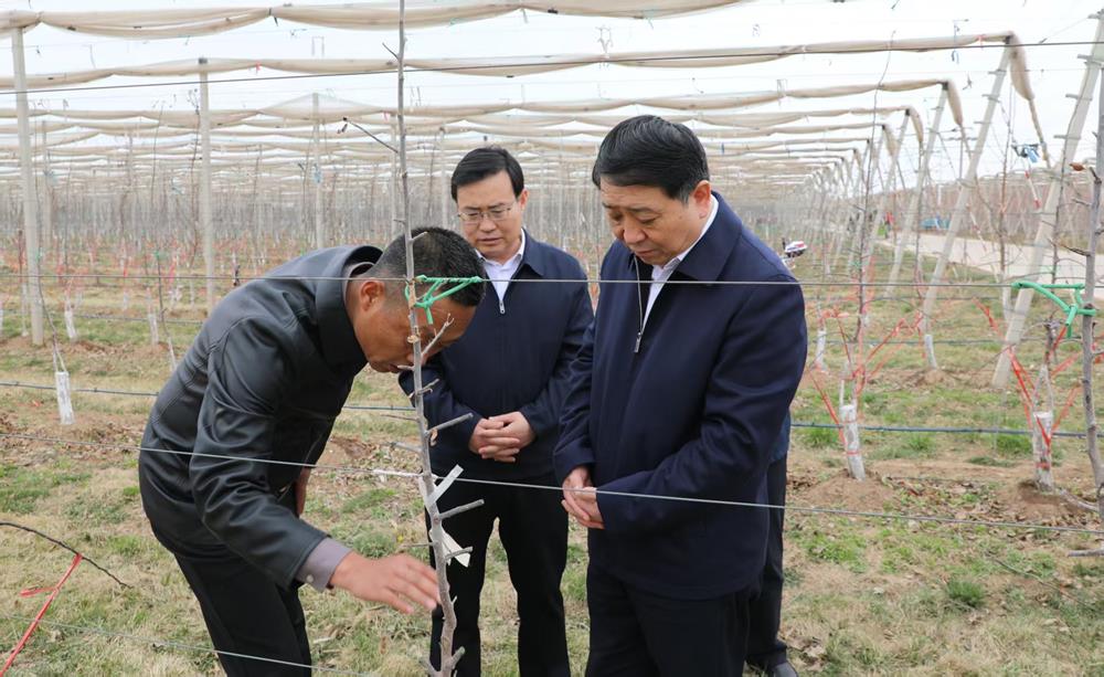 f2ea0896503f4b7ea1201b2d42b98535