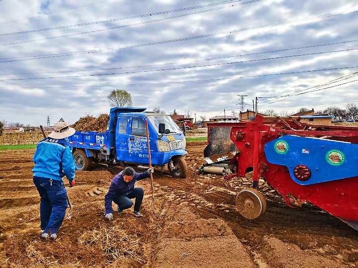 庆城:小小中药材撑起乡村大产业