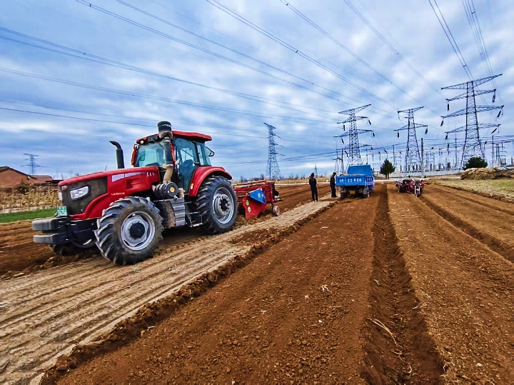 庆城:小小中药材撑起乡村大产业