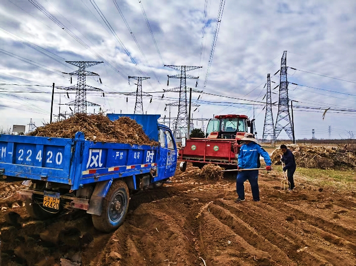 庆城:小小中药材撑起乡村大产业