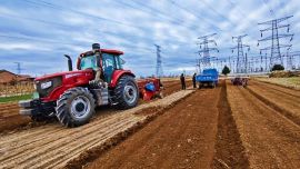 慶城:小小中藥材撐起鄉(xiāng)村大產(chǎn)業(yè)