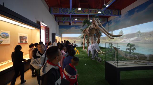 合水縣段家集學區(qū)開展“追尋紅色足跡 傳承長征精神”新時代紅色基因培育研學實踐活動613