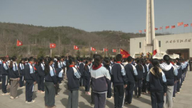 【网络中国节·清明】传承红色基因 凝聚奋进力量----合水县各单位开展清明祭扫活动