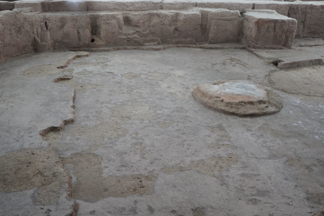 &nbsp;南佐F1后堂