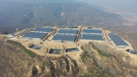 寧縣：生豬養(yǎng)殖“畜”勢勃發(fā) 鄉(xiāng)村振興“豬”事順遂