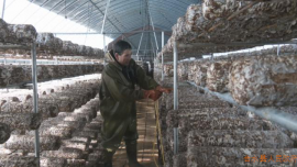 【凝神谋发展 实干兴陇原-“三抓三促”行动进行时】合水：以优质服务赋能企业发展与民生改善双向互赢