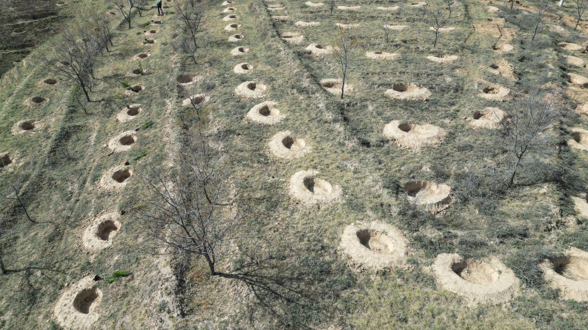 科技種綠 從嚴(yán)護(hù)綠　環(huán)縣繪就&ldquo;綠進(jìn)沙退&rdquo;新畫(huà)卷