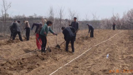 合水縣板橋鎮(zhèn)：深耕山地資源 推進果園建設(shè)