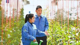 在希望的田野上