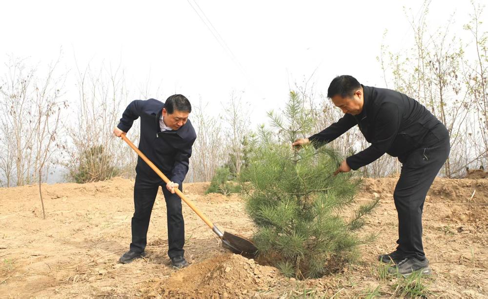 6d1bb9b206fe419da557cdb99111c726