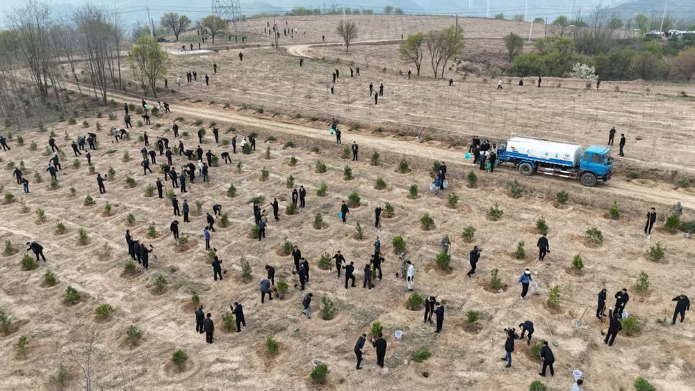 d6993b1e39d2443490c1089601119091