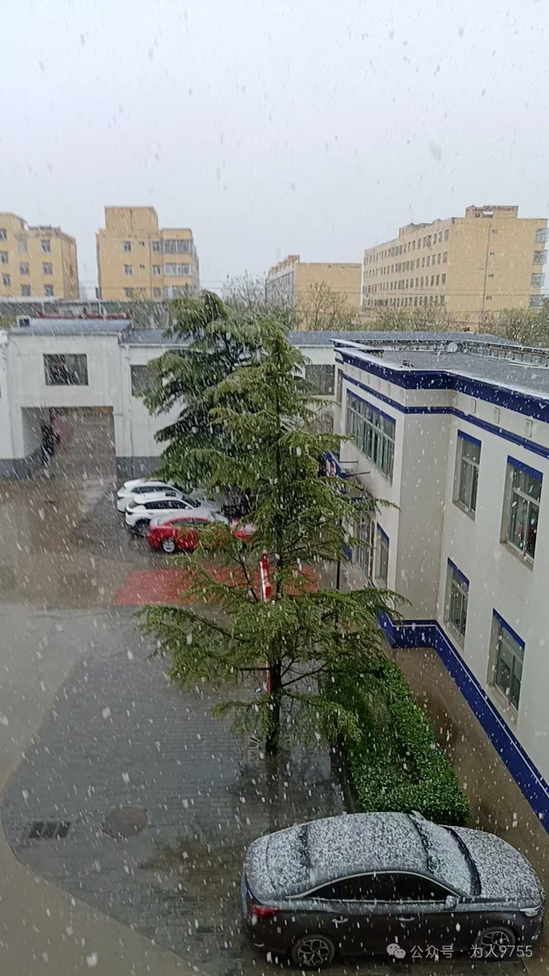 微信圖片_20260421091203_146_677