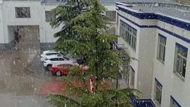 魏建春：春 雪