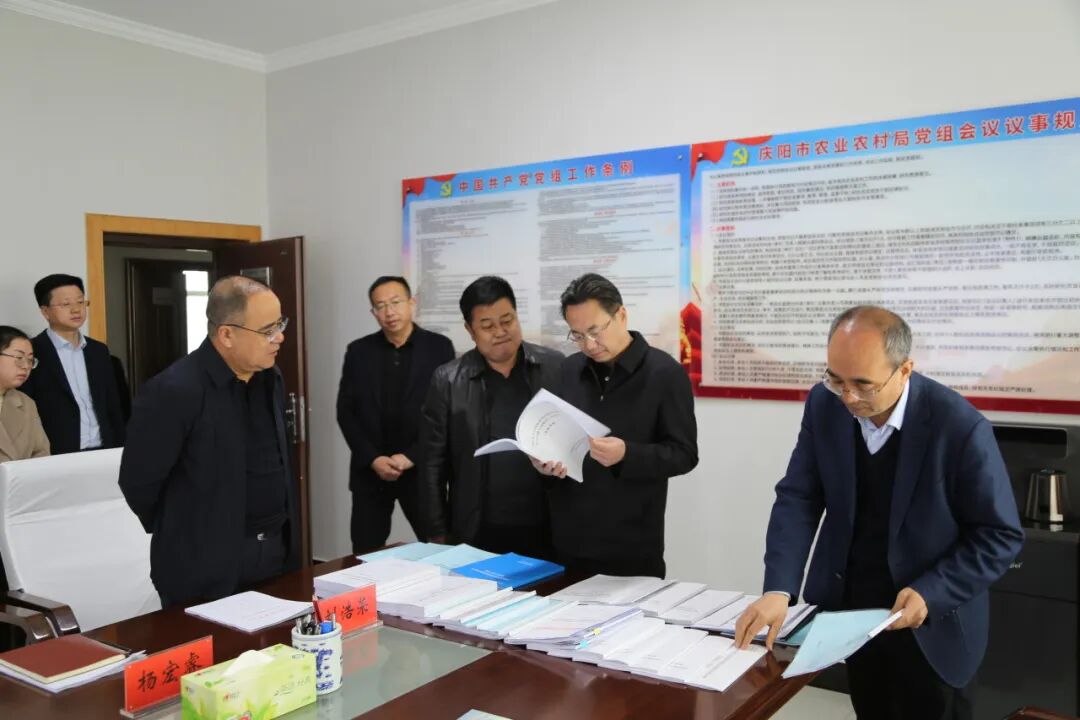 何东在庆阳市调研农业农村领域集中整治工作