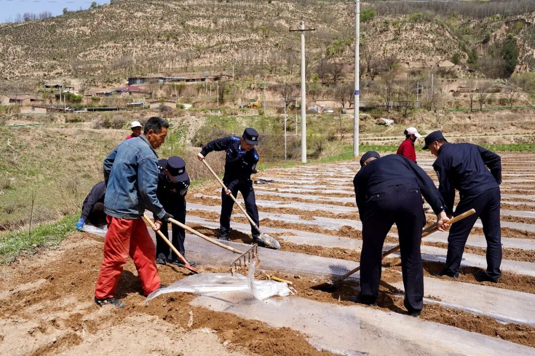 不止守護(hù)，更是春耕里的&ldquo;警&rdquo;暖相伴