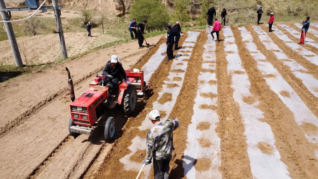 不止守護(hù)，更是春耕里的&ldquo;警&rdquo;暖相伴