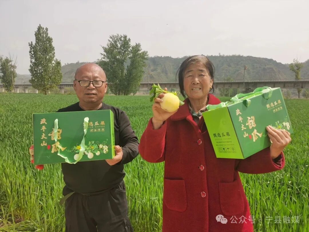 寧縣：甜瓜搶&ldquo;鮮&rdquo;上市 特色種植鋪就&ldquo;甜蜜路&rdquo;