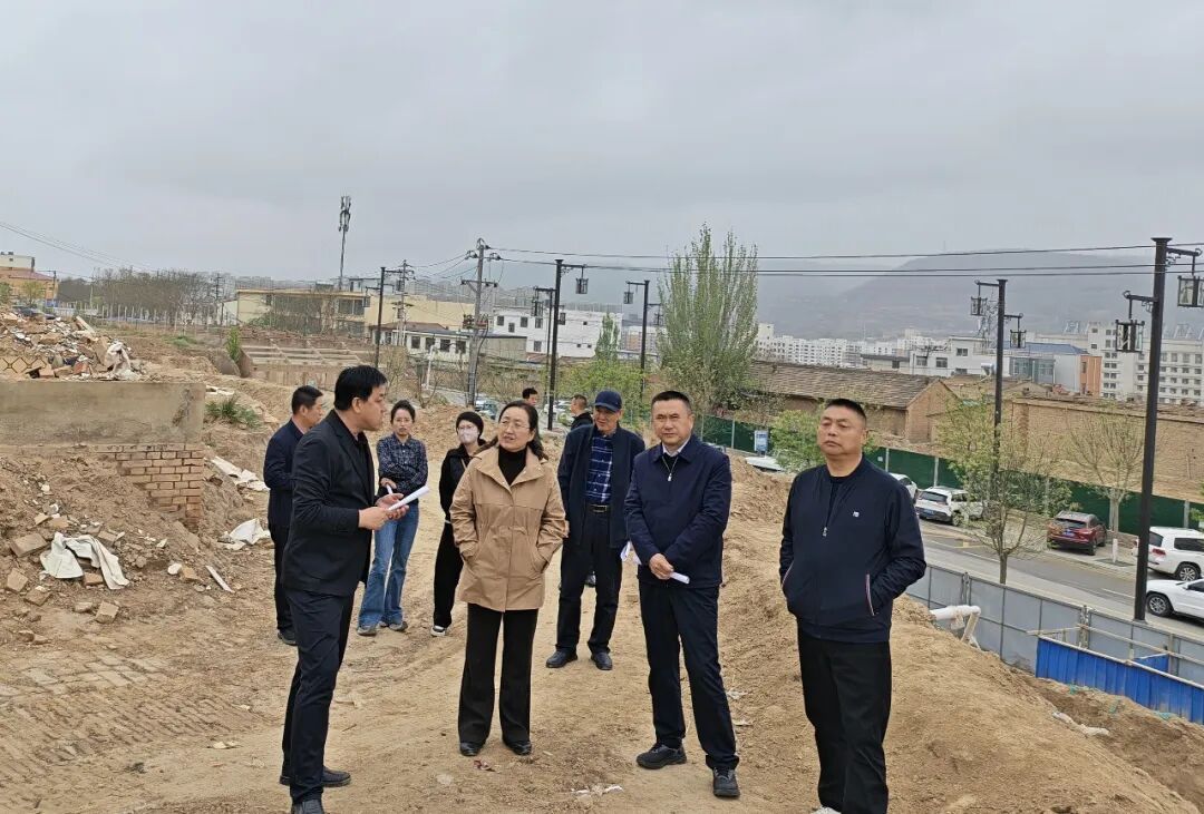 环县政协组织开展周巷子、井巷子片区征迁安置及城南保障性住房项目建设情况民主监督活动
