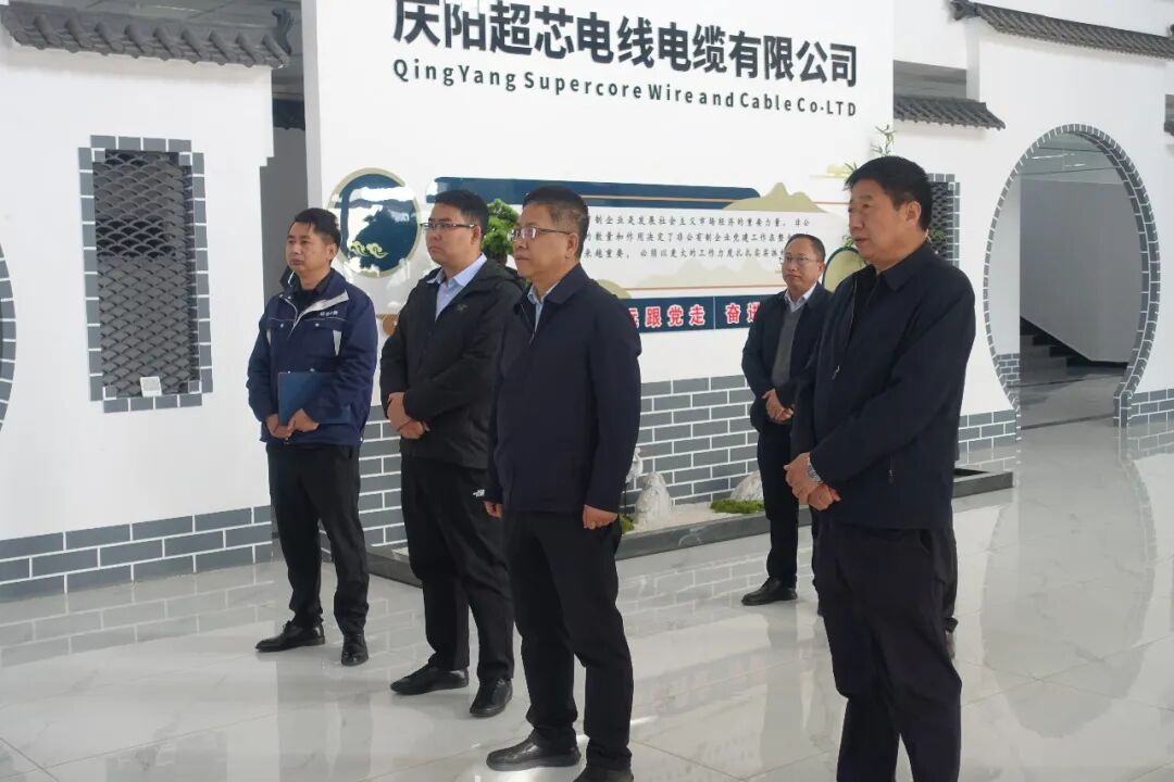 王之臣在庆城县调研重大项目建设和基层人大工作