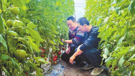 河西走廊逐春光 戈壁綠洲繪新景