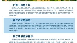 西峰投資指南