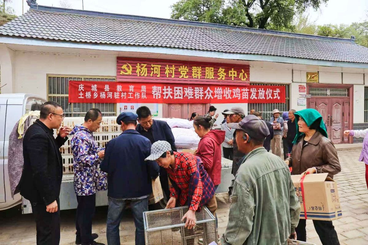 慶城縣:土橋鄉(xiāng)楊河村駐村工作隊(duì)開展免費(fèi)發(fā)放雞苗幫扶活動(dòng)