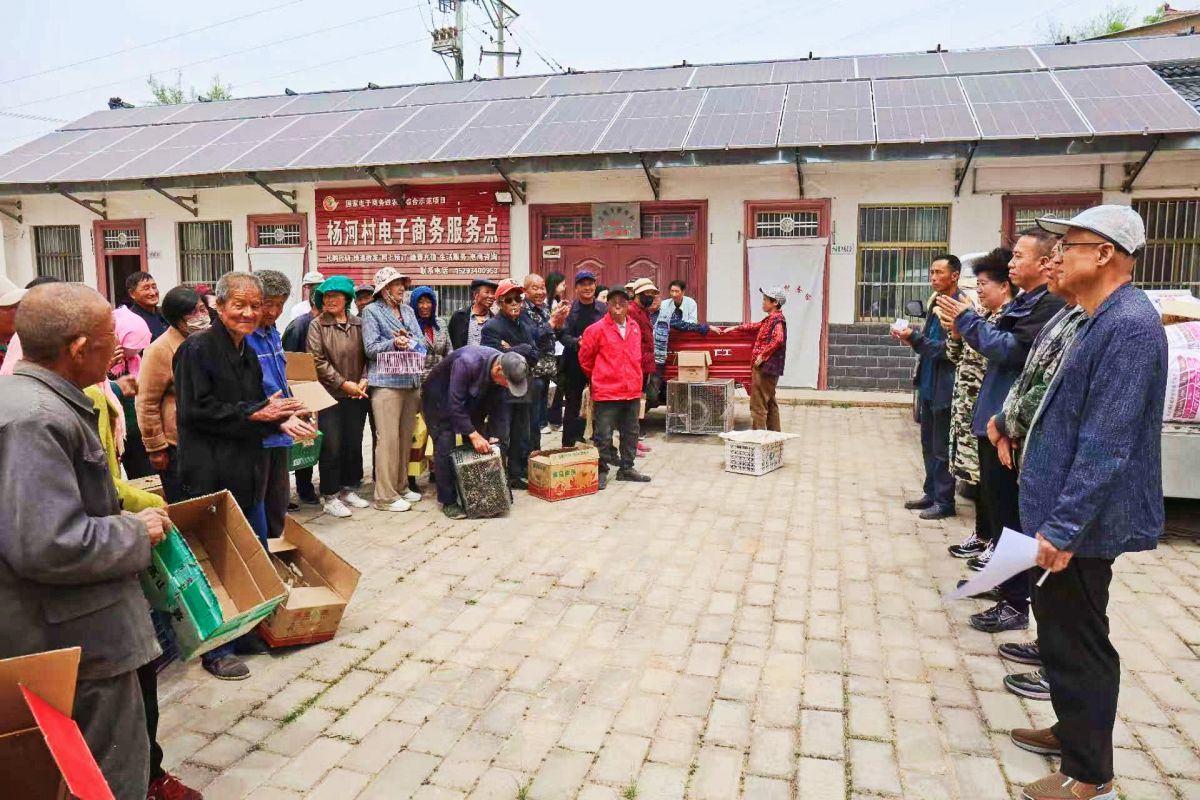 慶城縣:土橋鄉(xiāng)楊河村駐村工作隊(duì)開展免費(fèi)發(fā)放雞苗幫扶活動(dòng)