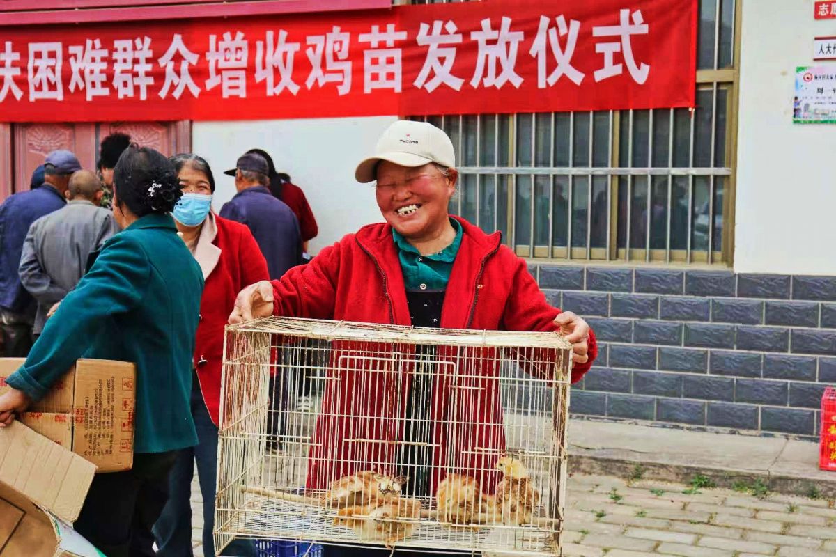 慶城縣:土橋鄉(xiāng)楊河村駐村工作隊(duì)開展免費(fèi)發(fā)放雞苗幫扶活動(dòng)