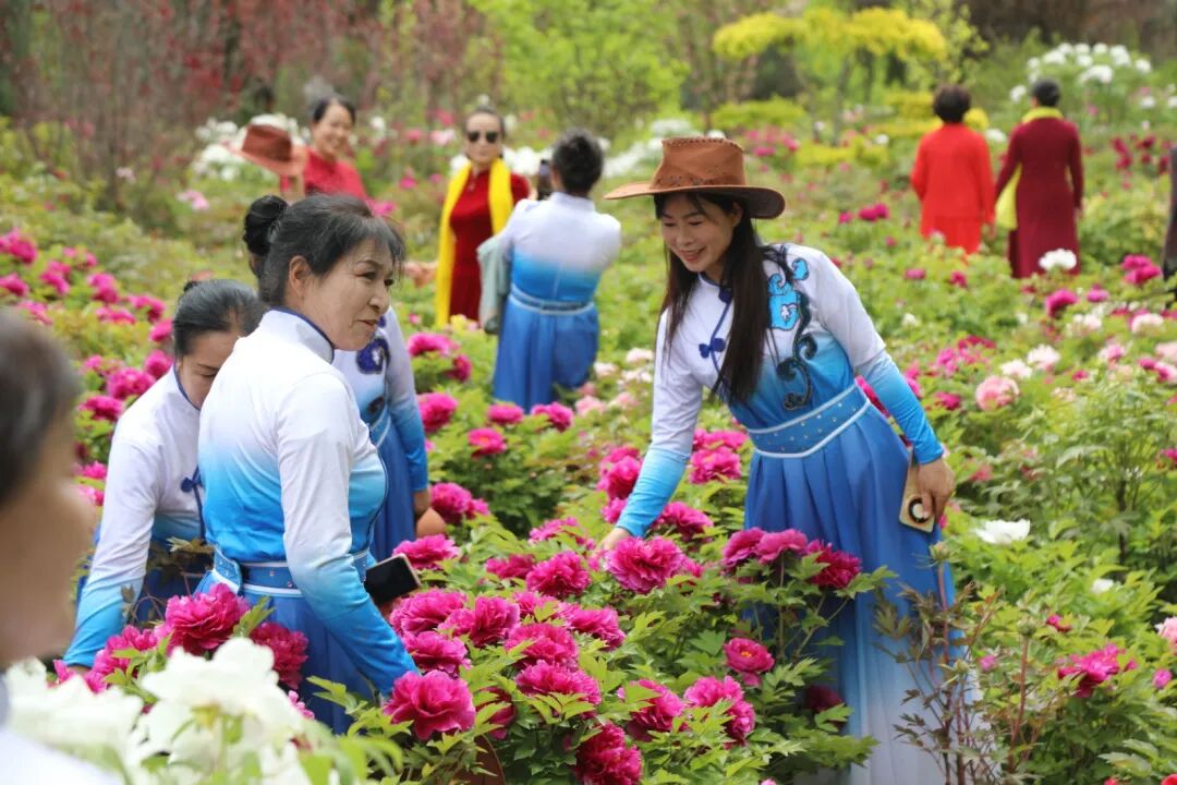 第十二屆慶陽寧縣昔家牡丹旅游文化周開幕