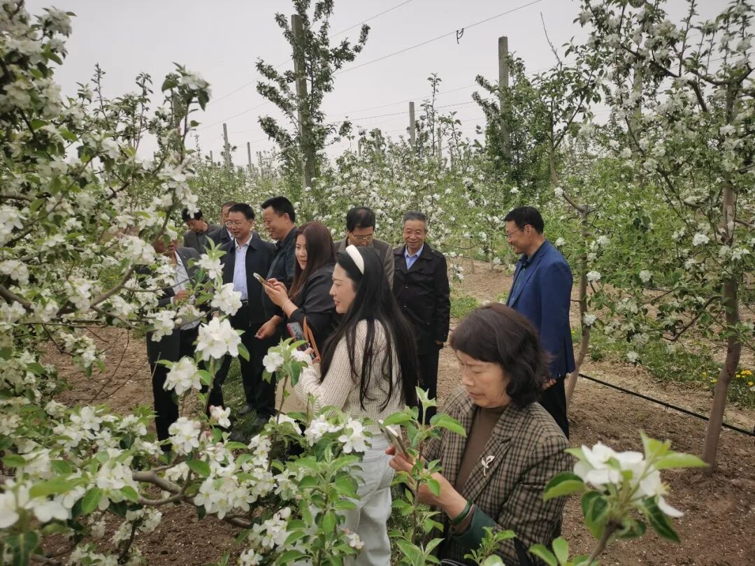 鎮(zhèn)原縣政協(xié)組織開(kāi)展&ldquo;相約花海 文化惠民&rdquo;書畫交流采風(fēng)界別活動(dòng)