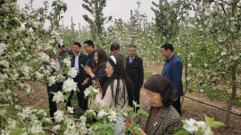 镇原县政协组织开展“相约花海 文化惠民”书画交流采风界别活动