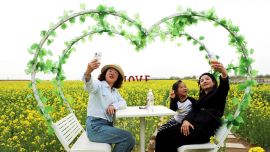 宁县:以花为媒激活乡村振兴新动能