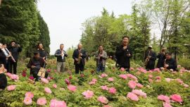 “五一”假期寧縣文旅市場火熱收官 “花滿寧州”引爆鄉(xiāng)村旅游新熱潮