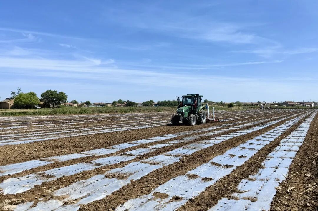 宁县春荣镇：深耕千亩玉米地  种下乡村振兴新希望