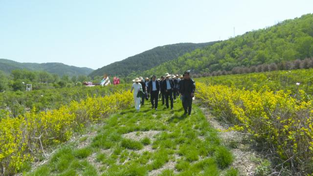 甘肃省文化产业商会数字文旅产业考察组调研合水县文旅产业发展情况