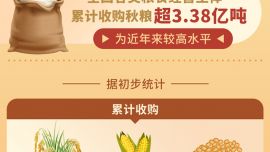 圖表：2025年度全國秋糧收購超3.38億噸