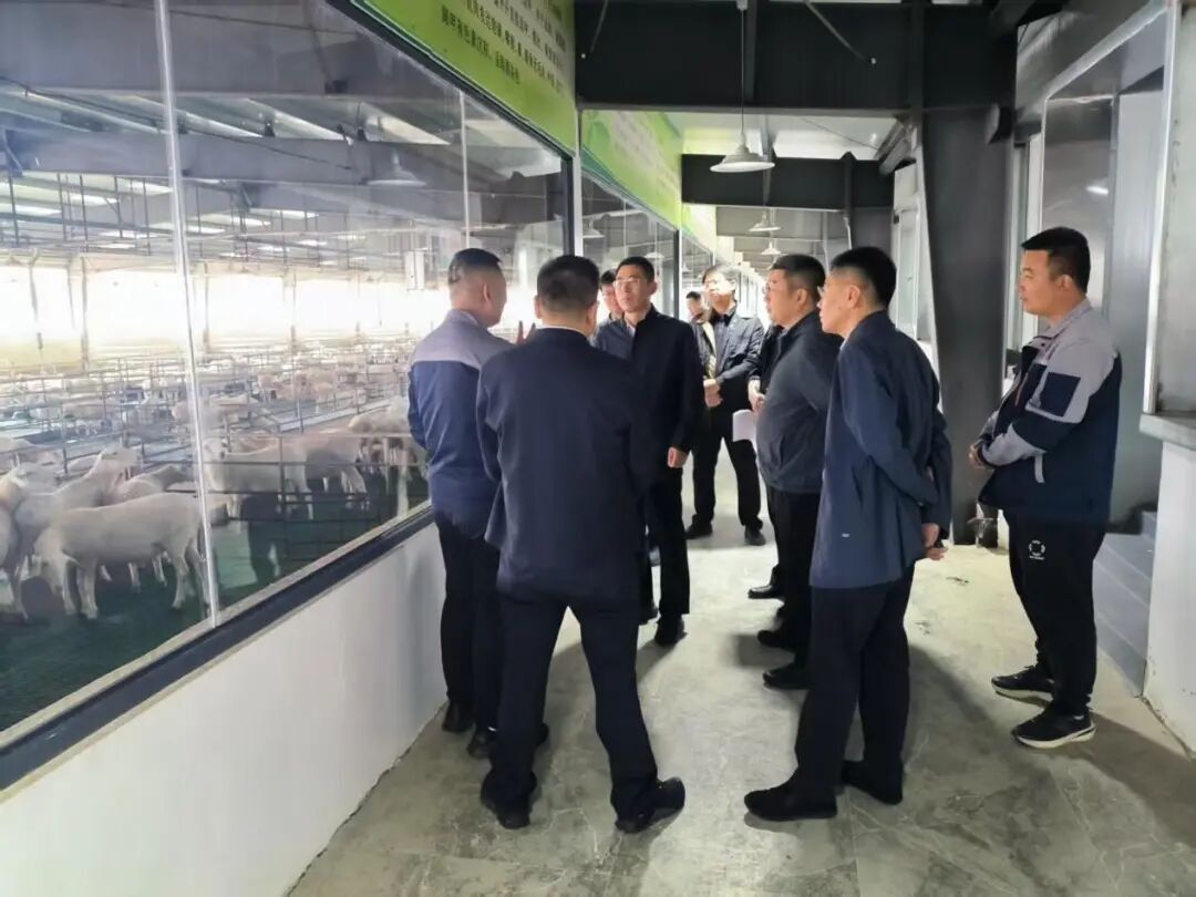 天津援甘前指到庆城县调研东西部协作工作